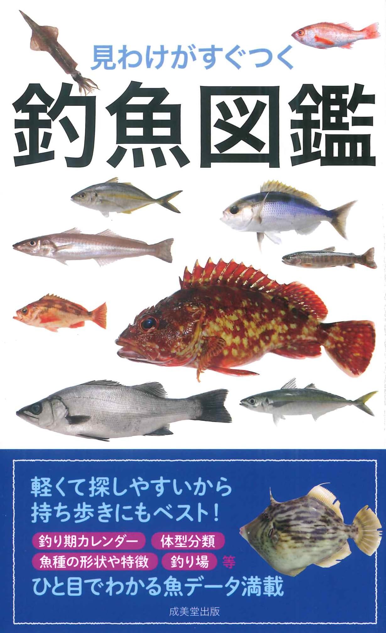 ■『週刊 日本の魚釣り』バインダー12冊■技術・道具・釣り場・魚・釣りのすべて■ 見わけがすぐつく 釣魚図鑑 | 成美堂出版編集部, 成美堂出版編集部 |本